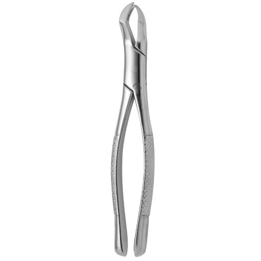 Extraction Forcep Fig.88R