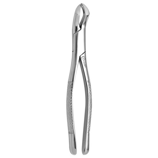 Extraction Forcep Fig.88L