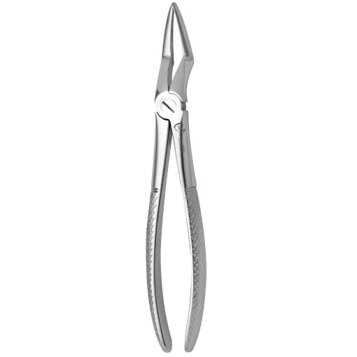 Extraction Forcep Fig.51L