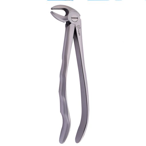 Extracting Forcep Anatomical Handle