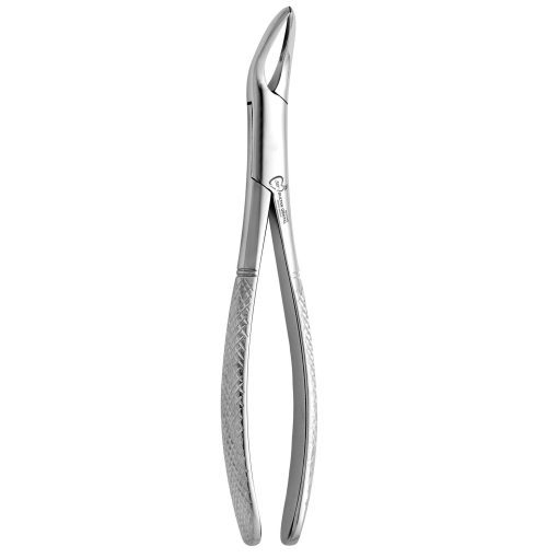 Extraction Forcep Witzel