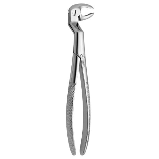 Extraction Forcep Wisdom Routourier